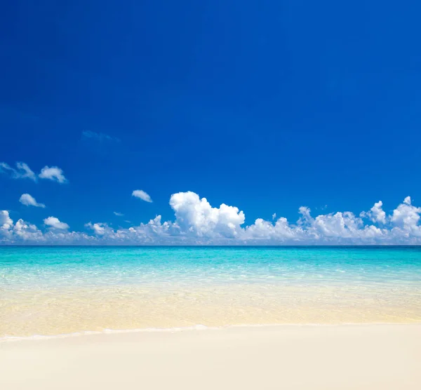 Острів Мальдівів Білим Піщаним Пляжем Морем — стокове фото