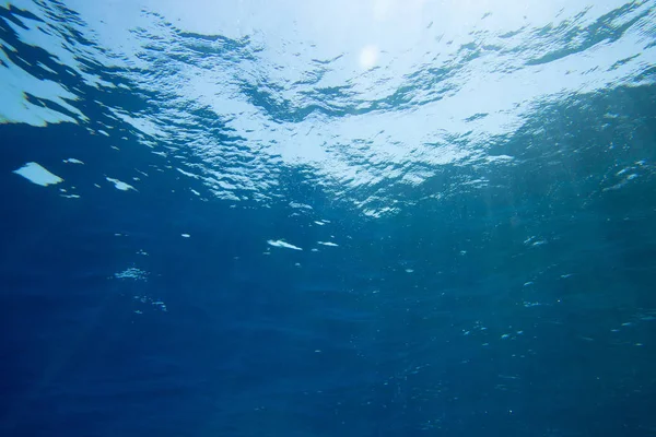 Tranquil underwater scene with copy space — Stock Photo, Image