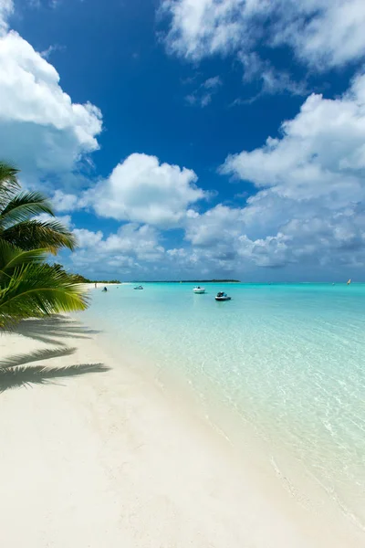 Ilha de Maldivas tropicais com praia de areia branca e mar — Fotografia de Stock