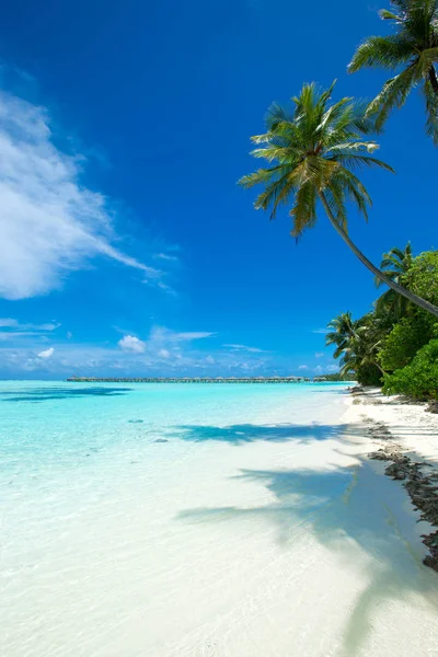Plaj, deniz ve mavi s ile güzel tropikal Maldivler ada — Stok fotoğraf