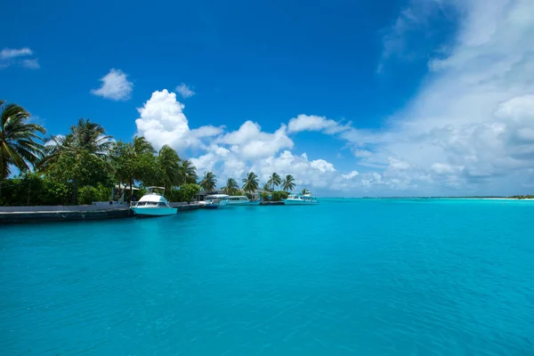 Isla tropical de Maldivas con playa de arena blanca y mar — Foto de Stock