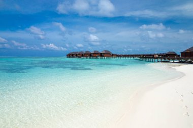 Beyaz kumlu sahili ve denizi olan tropik Maldivler adası