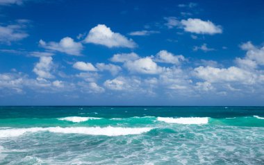 Beyaz kumlu sahili ve denizi olan tropik Maldivler adası