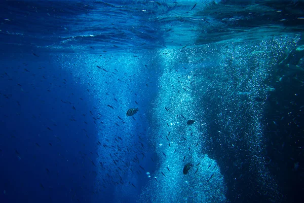 Nyugodt víz alatti jelenet másolási hellyel — Stock Fotó