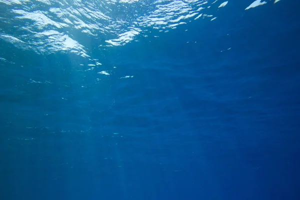 Подводная сцена с копировальным местом — стоковое фото