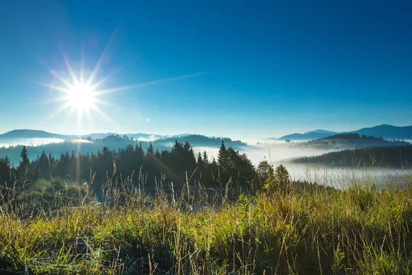 Karpat dağ güneşli manzara — Stok fotoğraf