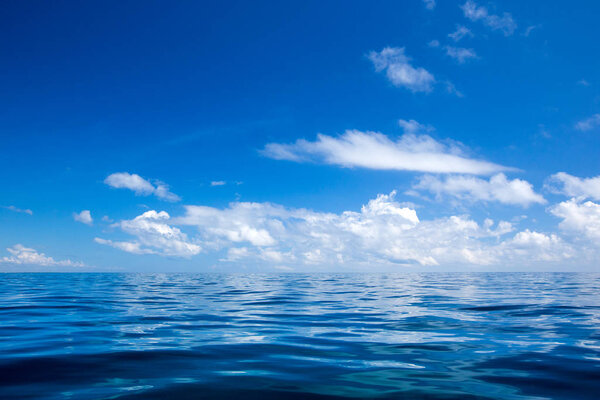  tropical beach in Sri Lanka