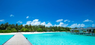 Beyaz kumlu sahili ve denizi olan tropik Maldivler adası