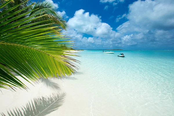 Trópusi Maldív-szigetek sziget fehér homokos tengerpart és tenger — Stock Fotó
