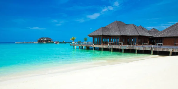 Тропический Мальдивский остров с пляжем — стоковое фото