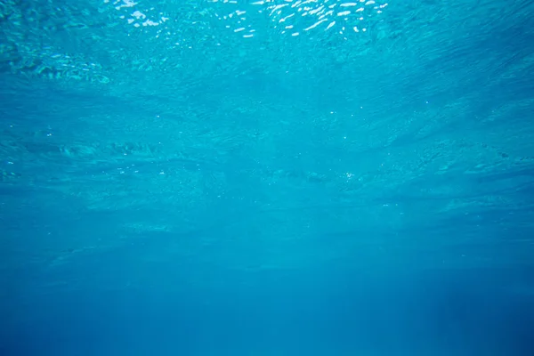 Tranquilo cena subaquática com espaço de cópia — Fotografia de Stock