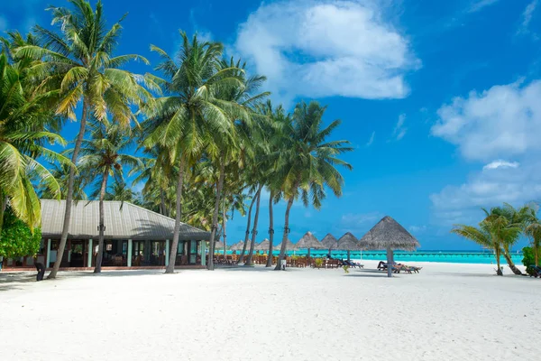 Мальдіви острів з білим піщаним пляжем і морем — стокове фото