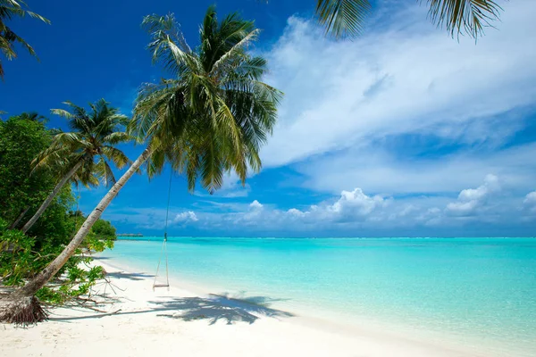 Maldivas isla con playa de arena blanca y mar — Foto de Stock