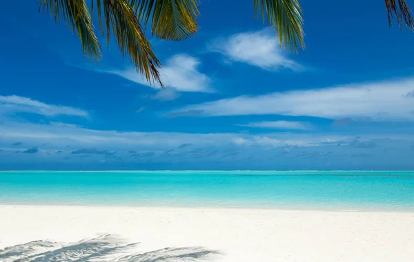 Beyaz kumlu plaj ve deniz ile Maldivler ada — Stok fotoğraf
