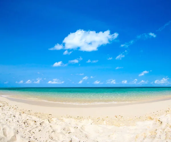 Isla tropical de Maldivas con playa de arena blanca y mar — Foto de Stock