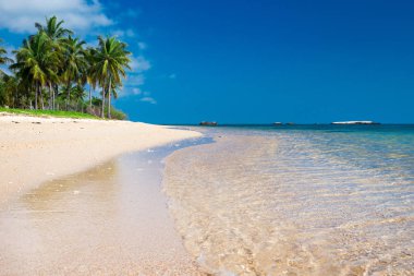 Sri Lanka tropikal plaj . Yaz tatili ve tatil concep