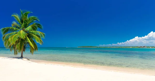 Gyönyörű strand és trópusi tenger — Stock Fotó