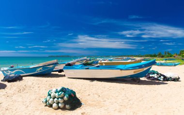 plaj ve tropikal deniz