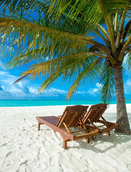 Île tropicale des Maldives avec plage de sable blanc et mer — Photo