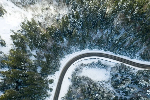 Belle forêt d'hiver et la route — Photo