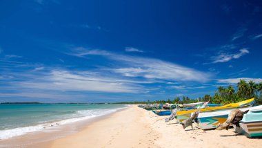 plaj ve tropikal deniz