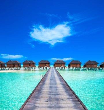 Maldivler denizi. Plaj ve tropik kuşak