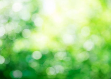 Yeşil bokeh arka plan