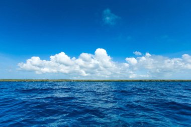 Sri Lanka tropikal plaj . Yaz tatili ve tatil concep