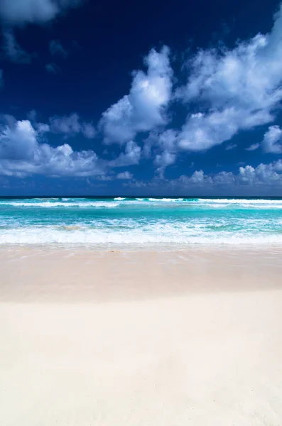Belle plage bleue de la mer des Caraïbes — Photo