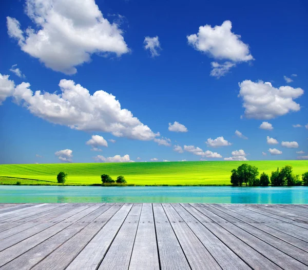 Campo sobre un fondo del cielo azul —  Fotos de Stock