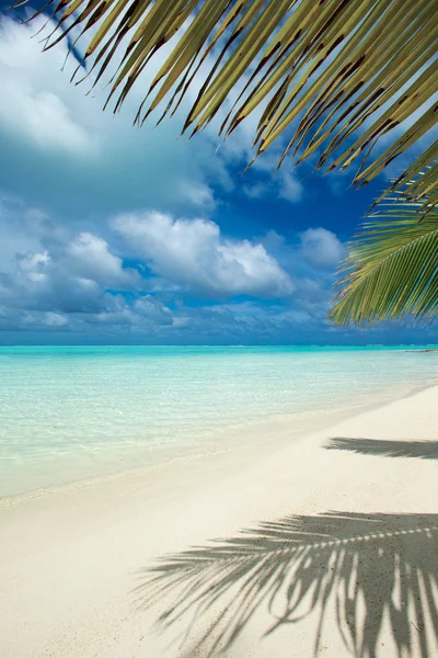 Tropische Malediven eiland met wit zandstrand en zee — Stockfoto