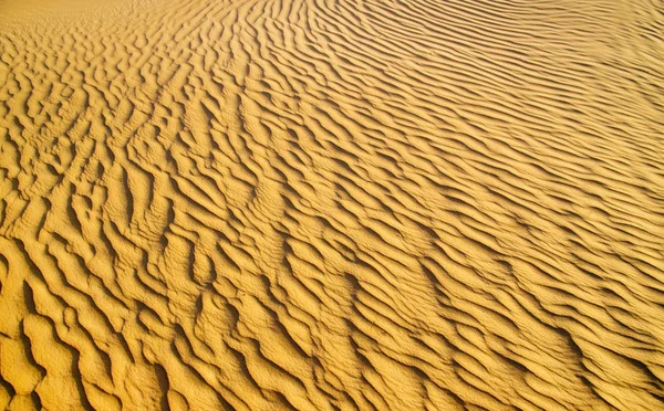 Deserto de ouro ao pôr-do-sol. Textura de areia. — Fotografia de Stock