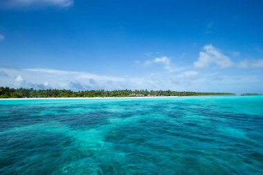 Beyaz kumlu sahili ve denizi olan tropik Maldivler adası