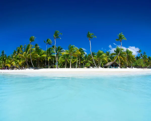 Playa y hermoso mar tropical. Mar Caribe de verano con azul — Foto de Stock