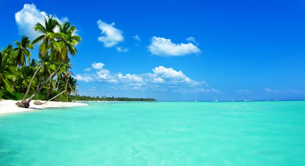 Pláž a krásné tropické moře. tropické krajiny — Stock fotografie