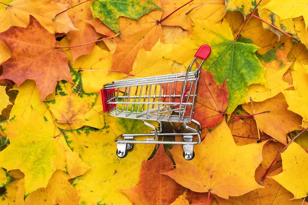 Mint őszi levelek Pushcart — Stock Fotó