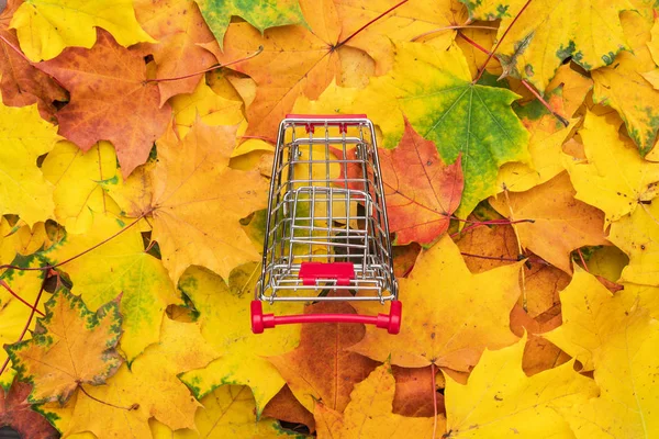 Kinderwagen über Herbstblätter — Stockfoto