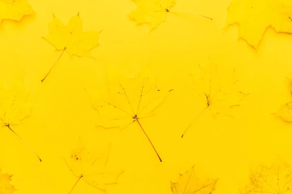 Autumn leaves over yellow — Stock Photo, Image
