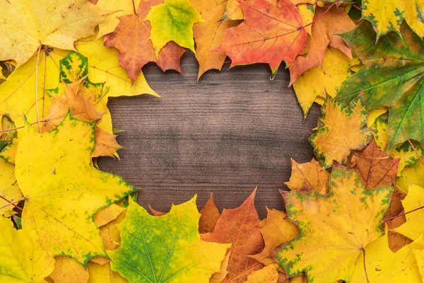 Yellow leaves background — Stock Photo, Image