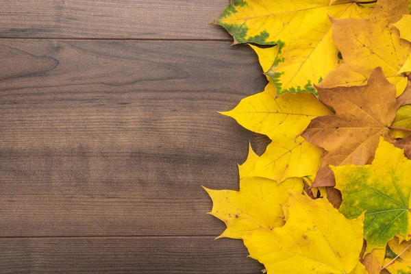 Yellow leaves background — Stock Photo, Image