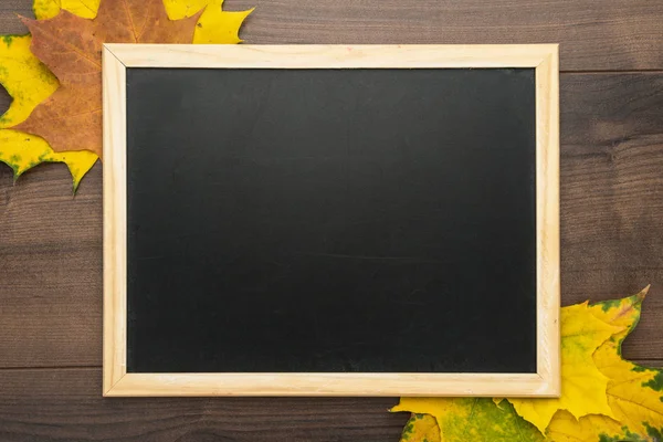Blackboard and leaves — Stock Photo, Image
