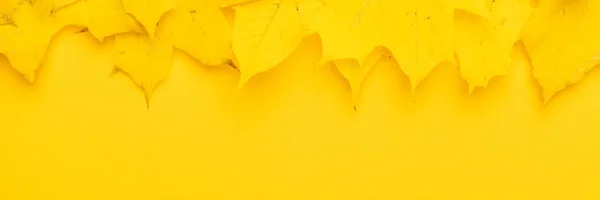 Banner de hojas de otoño — Foto de Stock