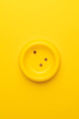 sarı evde beslenen hayvan kase