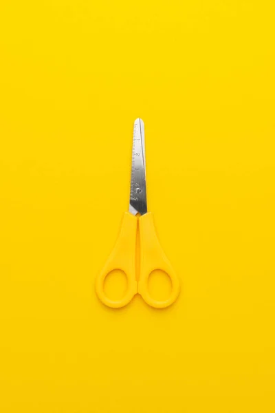 Nożyczki na żółtym grzbiecie — Zdjęcie stockowe