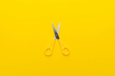 Sarı sırtlı makas.