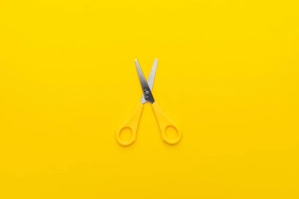 黄背上的剪子 — 图库照片