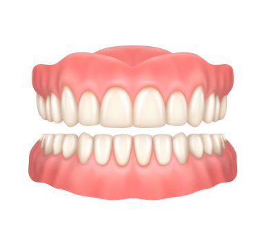 Dentures or false teeth realistic vector design of orthodontics and aesthetic dentistry medicine. Upper and lower jaws with fake teeth, 3d dental prosthesis on white background, healthcare themes clipart