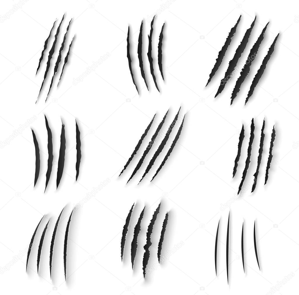 Claws scratches isolated vector animal nails rip