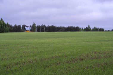 Alan, ağaçlar ve bulutlu gökyüzü