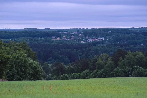 Fältet Träd Och Molniga Himlen — Stockfoto